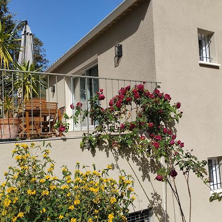 Charmante Maison Avec Jardin Aux Portes Des Gorges De L'Ardeche Saint-Julien-de-Peyrolas Екстериор снимка