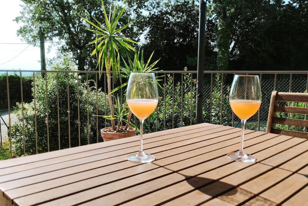Charmante Maison Avec Jardin Aux Portes Des Gorges De L'Ardeche Saint-Julien-de-Peyrolas Екстериор снимка